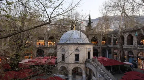 Bursa